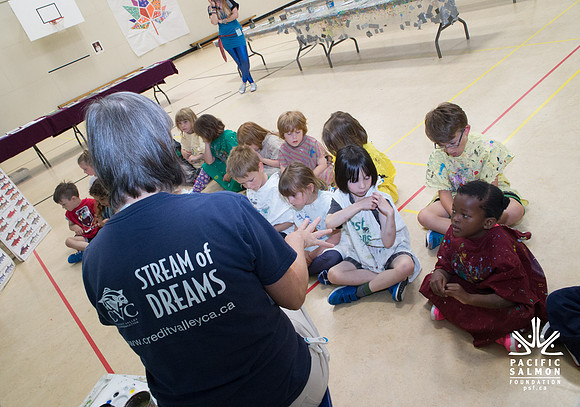 K - STREAM OF DREAMS - PSF-24