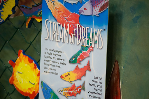 GR 7 - STREAM OF DREAMS - PSF-49