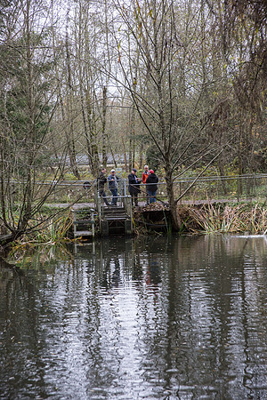 PSF - TYNEHEAD HATCHERY - MP Ken Hardie-98