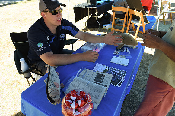 2017 PINK SALMON FESTIVAL-PSF-37