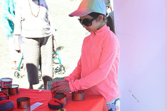 2017 PINK SALMON FESTIVAL-PSF-40