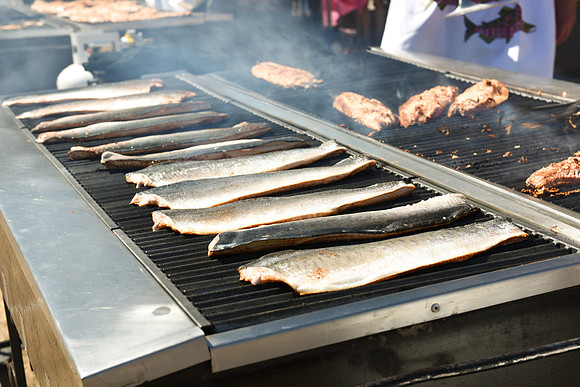 2017 PINK SALMON FESTIVAL-PSF-70