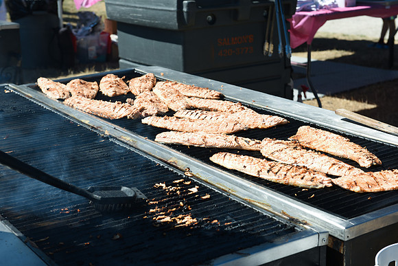 2017 PINK SALMON FESTIVAL-PSF-72