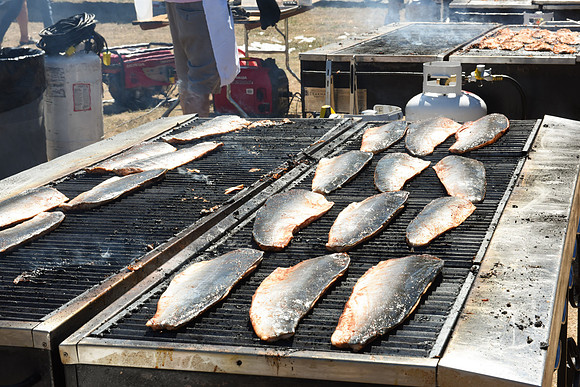 2017 PINK SALMON FESTIVAL-PSF-94