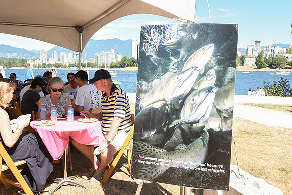 2017 PINK SALMON FESTIVAL-PSF-138