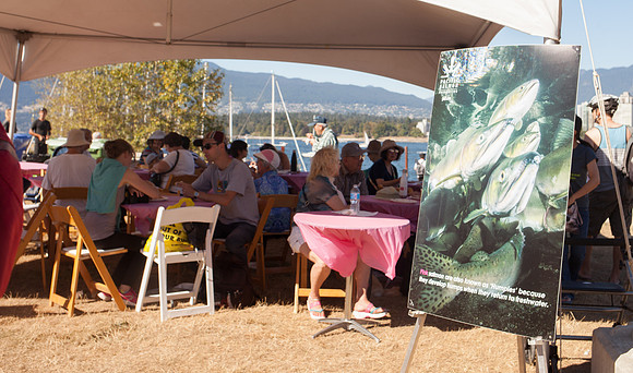 2017 PINK SALMON FESTIVAL-PSF-216