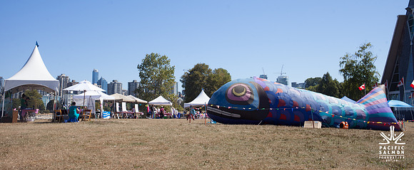2017 PINK SALMON FESTIVAL-PSF-205