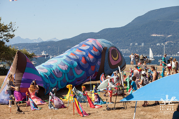 2017 PINK SALMON FESTIVAL-PSF-181