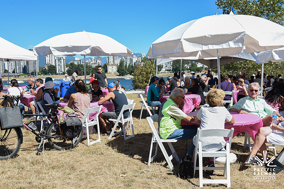 2017 PINK SALMON FESTIVAL-PSF-200
