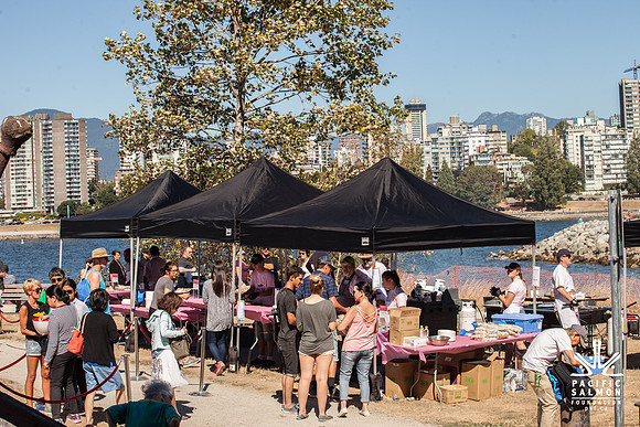 2017 PINK SALMON FESTIVAL-PSF-213