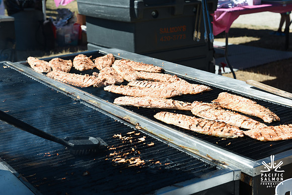 2017 PINK SALMON FESTIVAL-PSF-72