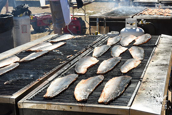 2017 PINK SALMON FESTIVAL-PSF-94