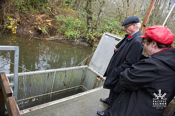 PSF - TYNEHEAD HATCHERY - MP Ken Hardie-106