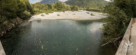 PSF-Indian River Watershed visit--2