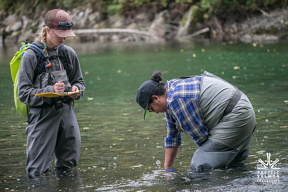 PSF-Indian River Watershed visit-20145