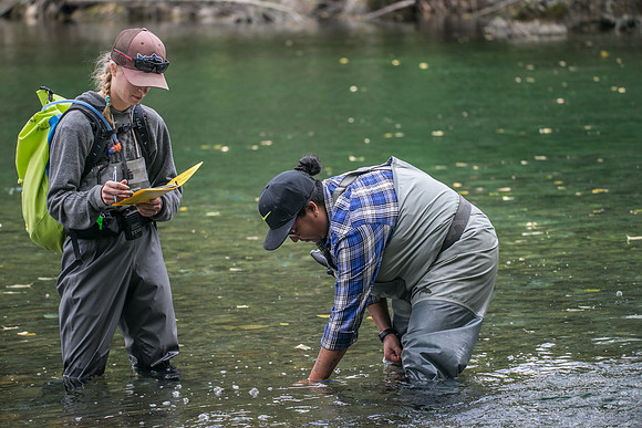 PSF-Indian River Watershed visit-20171