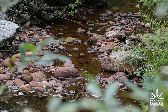 PSF-Indian River Watershed visit-20429