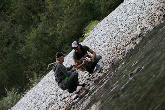 PSF-Indian River Watershed visit-20636