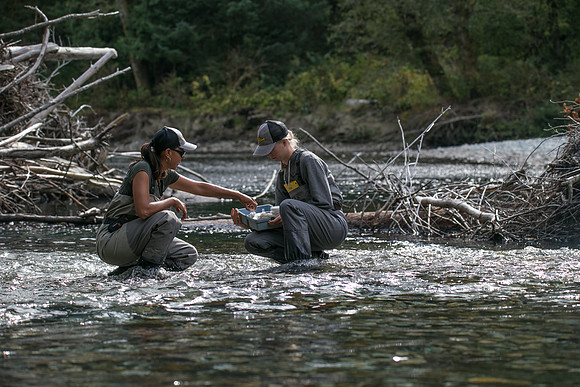 PSF-Indian River Watershed visit-20845