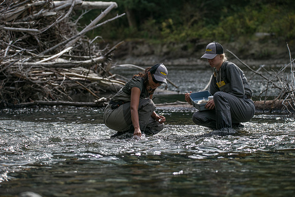 PSF-Indian River Watershed visit-20848