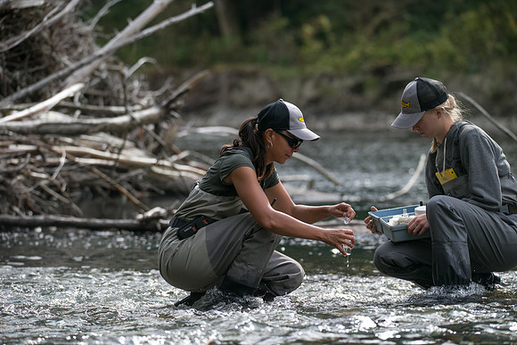 PSF-Indian River Watershed visit-20852
