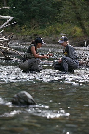 PSF-Indian River Watershed visit-20867
