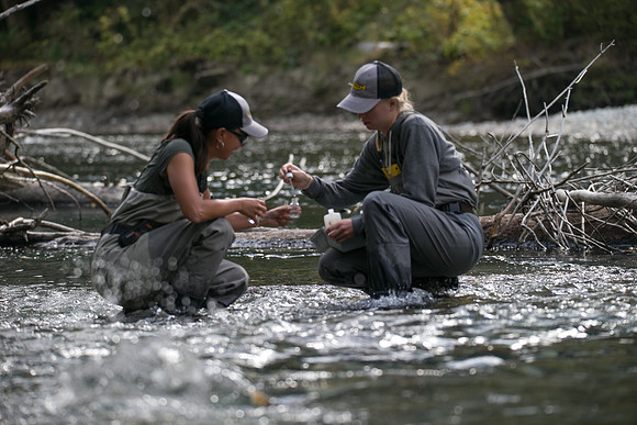 PSF-Indian River Watershed visit-20913