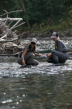 PSF-Indian River Watershed visit-20951