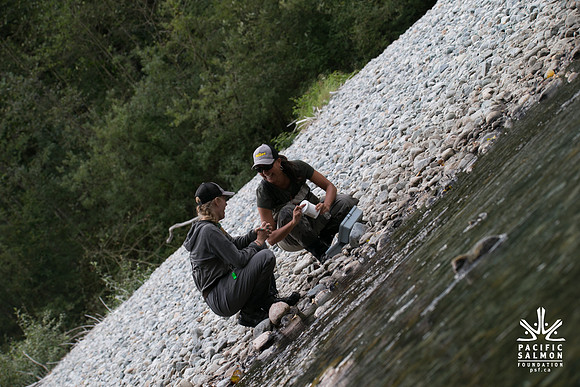 PSF-Indian River Watershed visit-20636