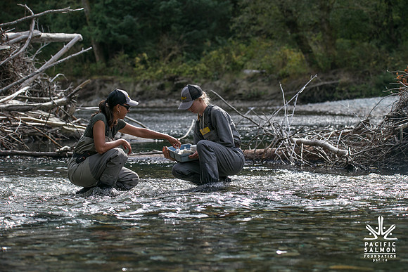 PSF-Indian River Watershed visit-20845