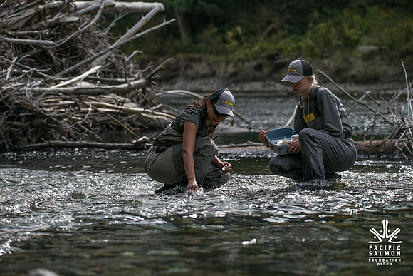 PSF-Indian River Watershed visit-20848