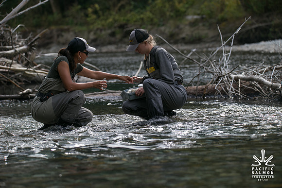 PSF-Indian River Watershed visit-20858