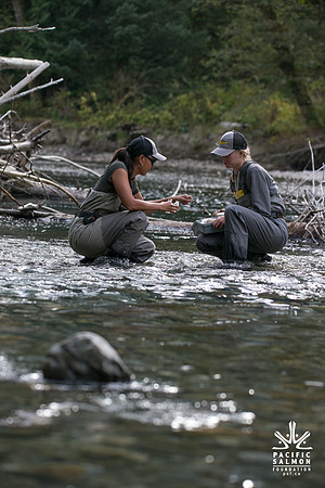 PSF-Indian River Watershed visit-20867