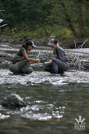 PSF-Indian River Watershed visit-20872