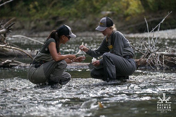 PSF-Indian River Watershed visit-20915
