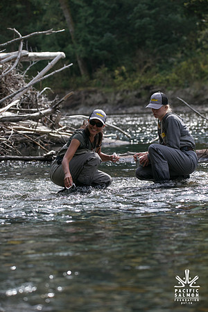 PSF-Indian River Watershed visit-20951