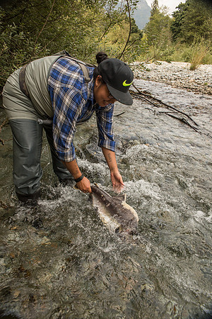 PSF-Indian River Watershed visit-3538