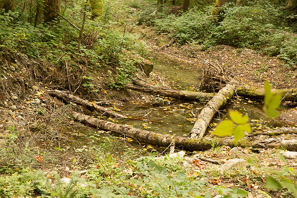 PSF-Indian River Watershed visit-3652