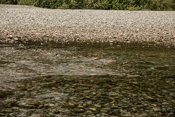 PSF-Indian River Watershed visit-3656