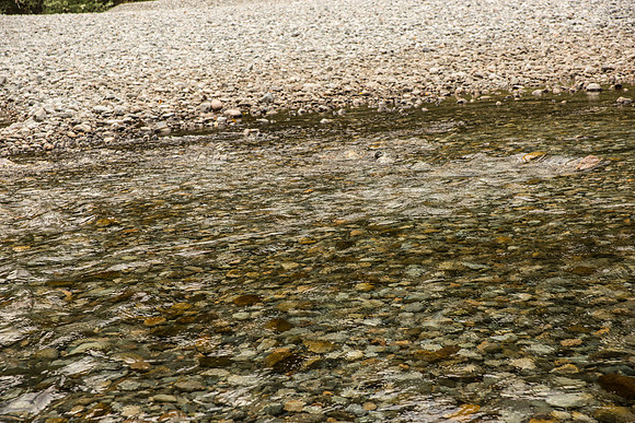 PSF-Indian River Watershed visit-3666