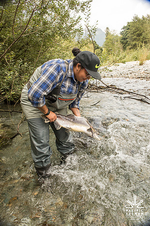 PSF-Indian River Watershed visit-3529