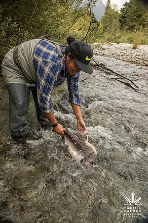 PSF-Indian River Watershed visit-3538