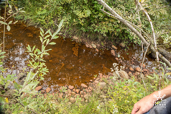 PSF-Indian River Watershed visit-3611