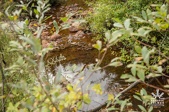 PSF-Indian River Watershed visit-3615