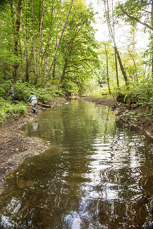 PSF-Indian River Watershed visit-3806