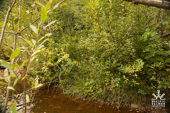 PSF-Indian River Watershed visit-3636