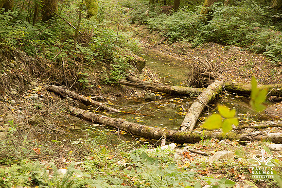 PSF-Indian River Watershed visit-3652