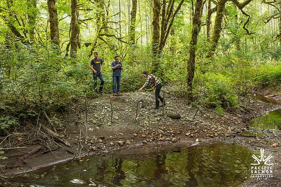 PSF-Indian River Watershed visit-3727