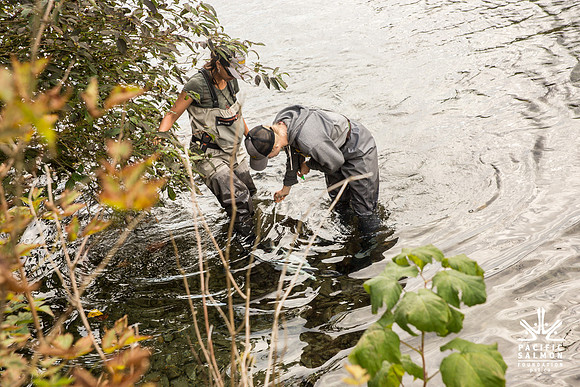 PSF-Indian River Watershed visit-3781