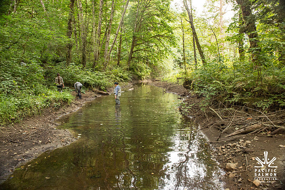 PSF-Indian River Watershed visit-3803